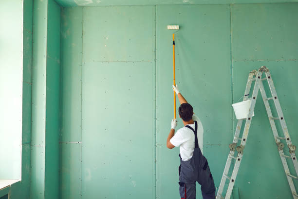 Best Water Damage & Mold Remediation  in Argo, AL