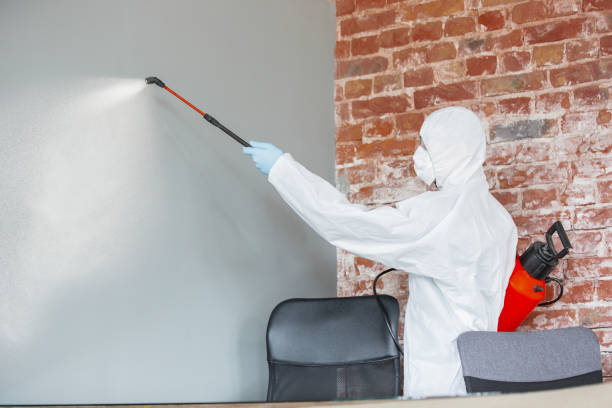 Best Air Quality Testing for Mold Spores  in Argo, AL