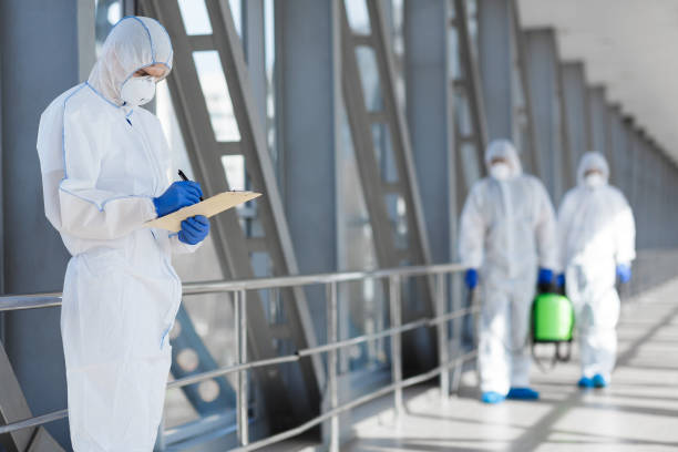 Best Environmental Consulting for Mold Prevention  in Argo, AL