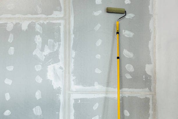 Best Industrial Mold Remediation  in Argo, AL