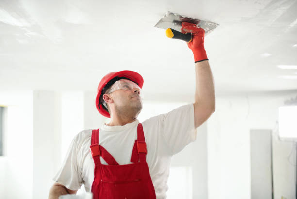  Argo, AL Mold Removal Pros