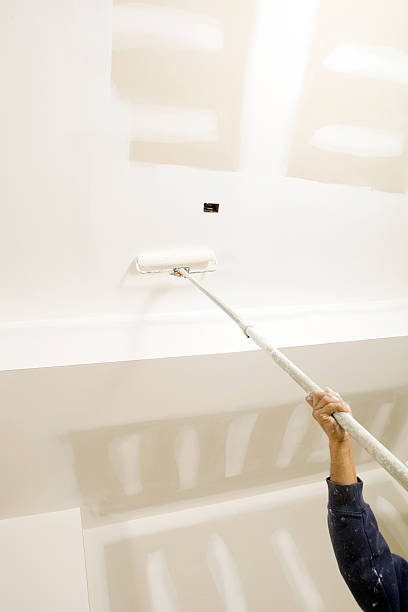 Best Basement Mold Removal  in Argo, AL