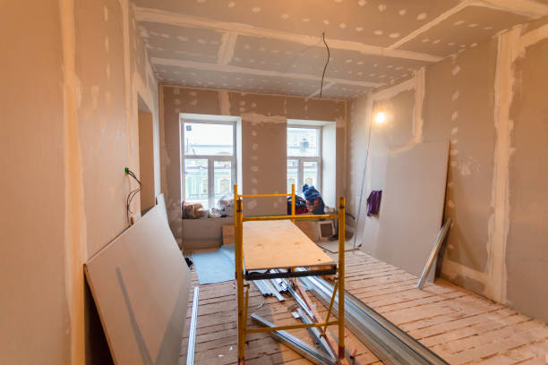 Best Mold Damage Restoration  in Argo, AL