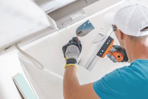 Trusted Argo, AL Mold Removal Experts